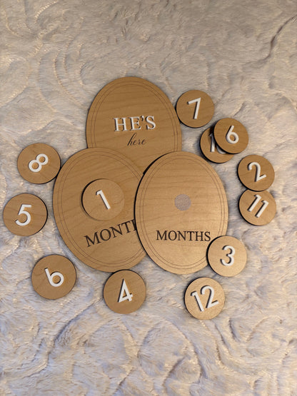 Birth Milestone Interchangeable Discs