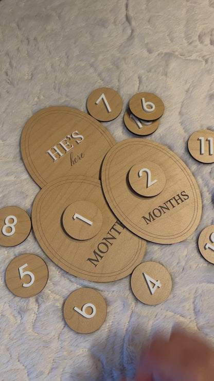 Birth Milestone Interchangeable Discs